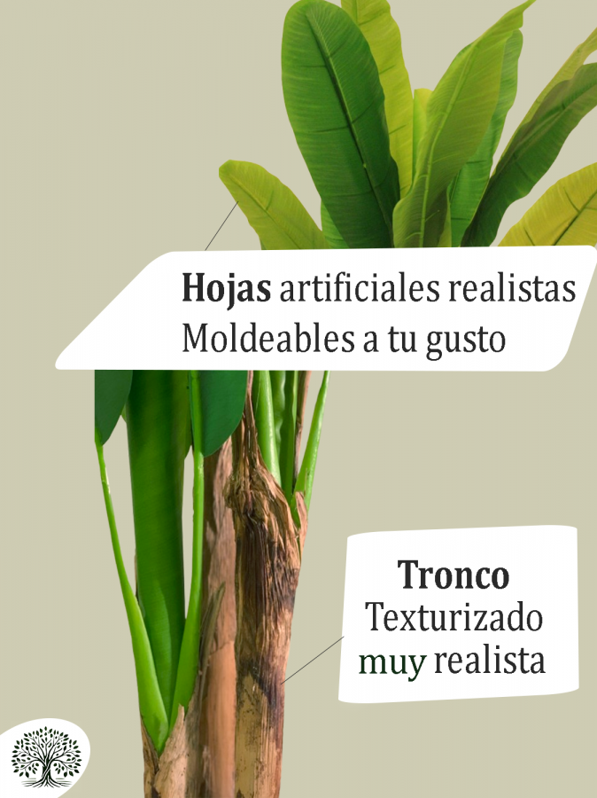 4-hojas-tronco-detalles