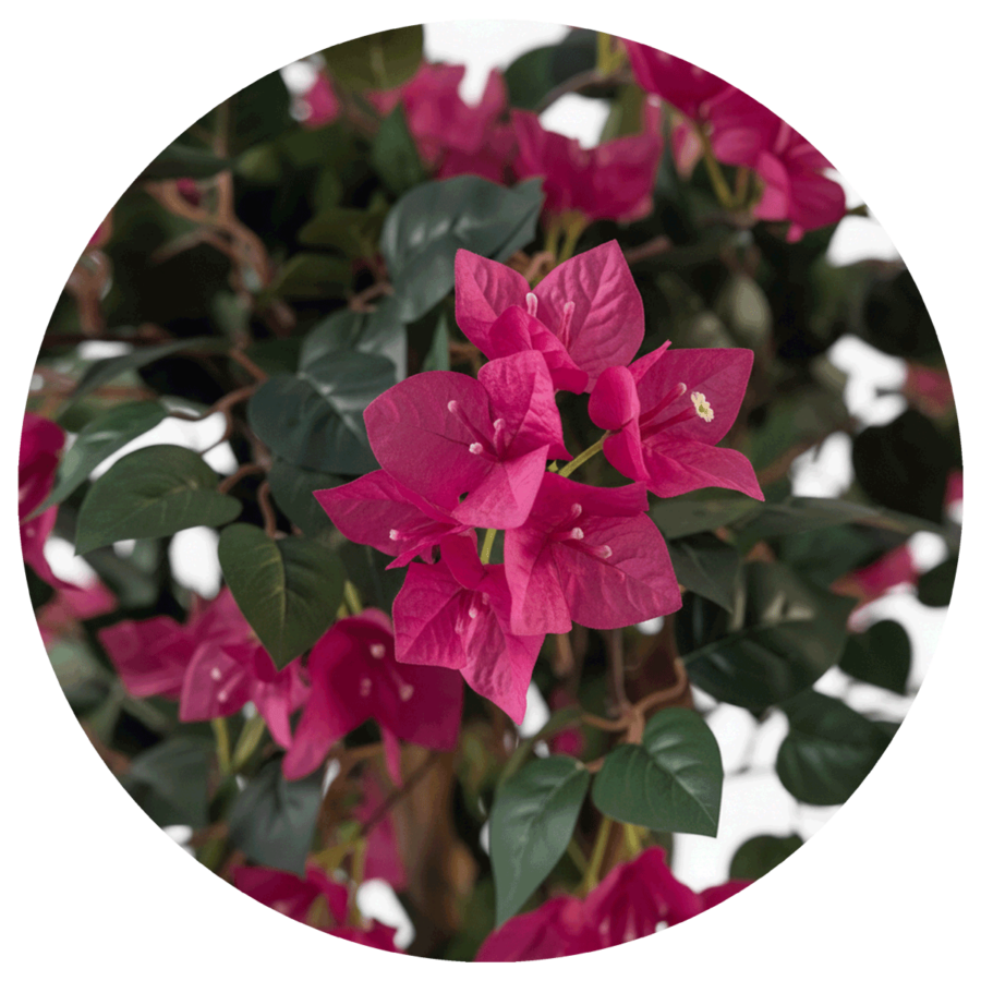 bougancilla-artificial-160-cm-selvavita-ambiente-hoja