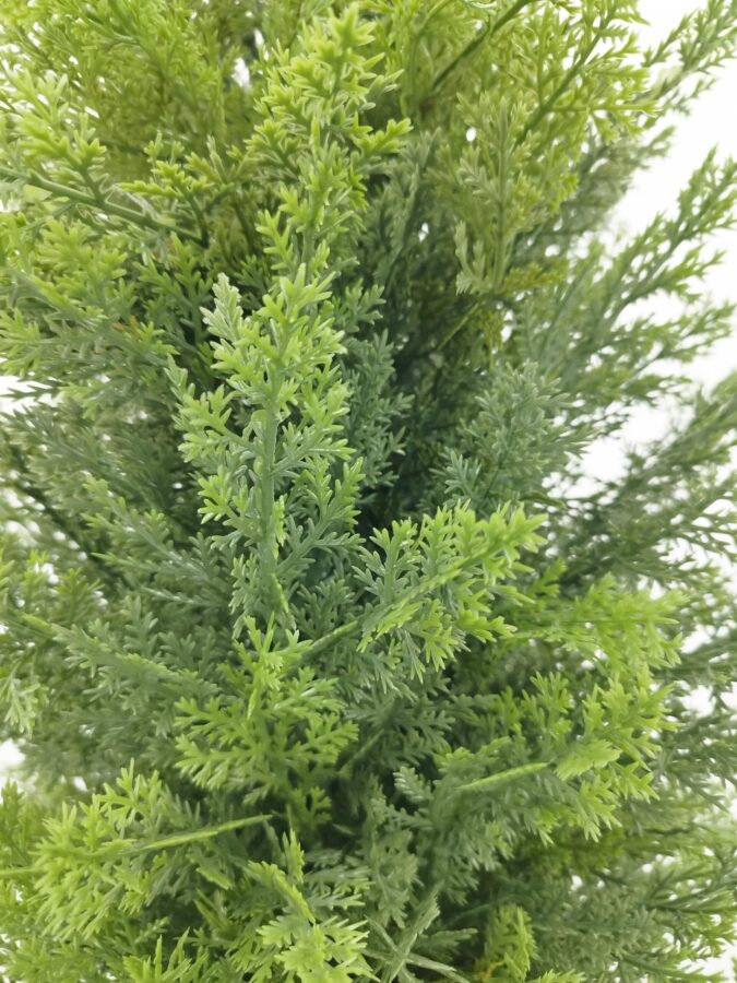 Árbol ciprés artificial para exterior 170 cm detalle