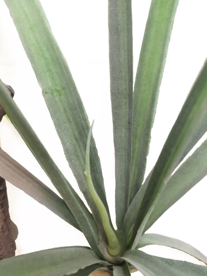Palmera artificial yuca para exterior 120 cm detalle