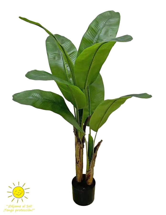 planta-exterior-platanera-uv-solar