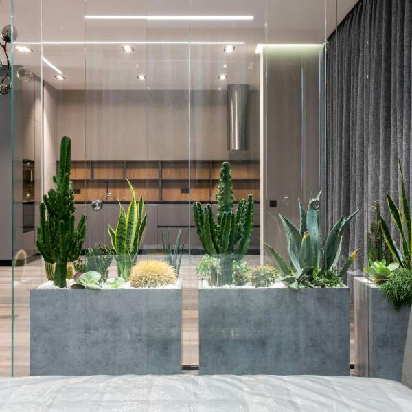 pexels-heyho-6207939-A600x600