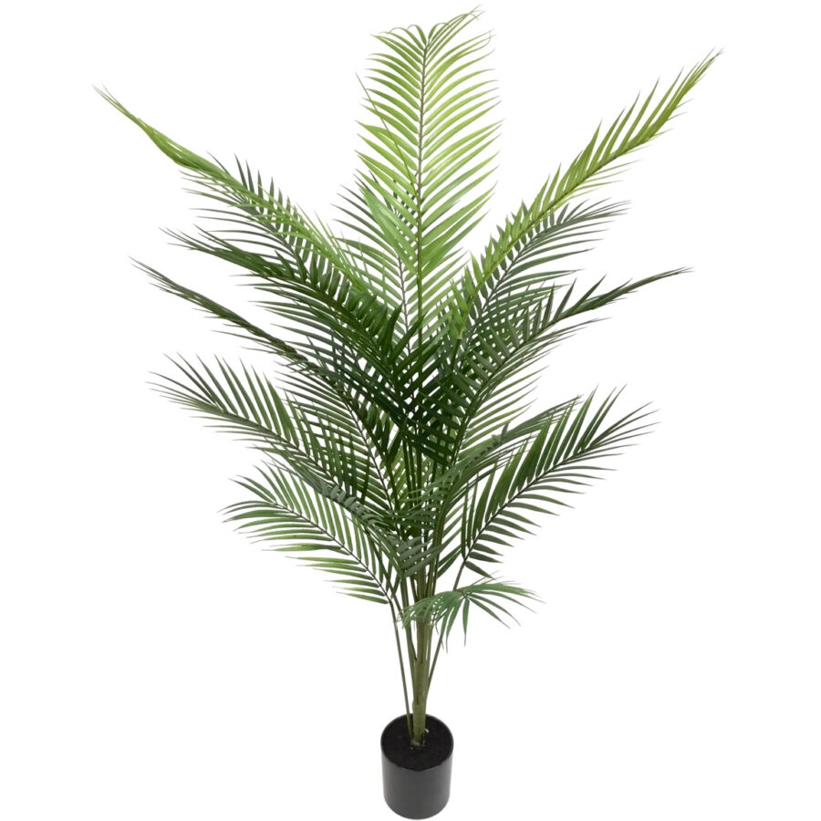 ARECA-140-CM-SELVAVITA-Z704800