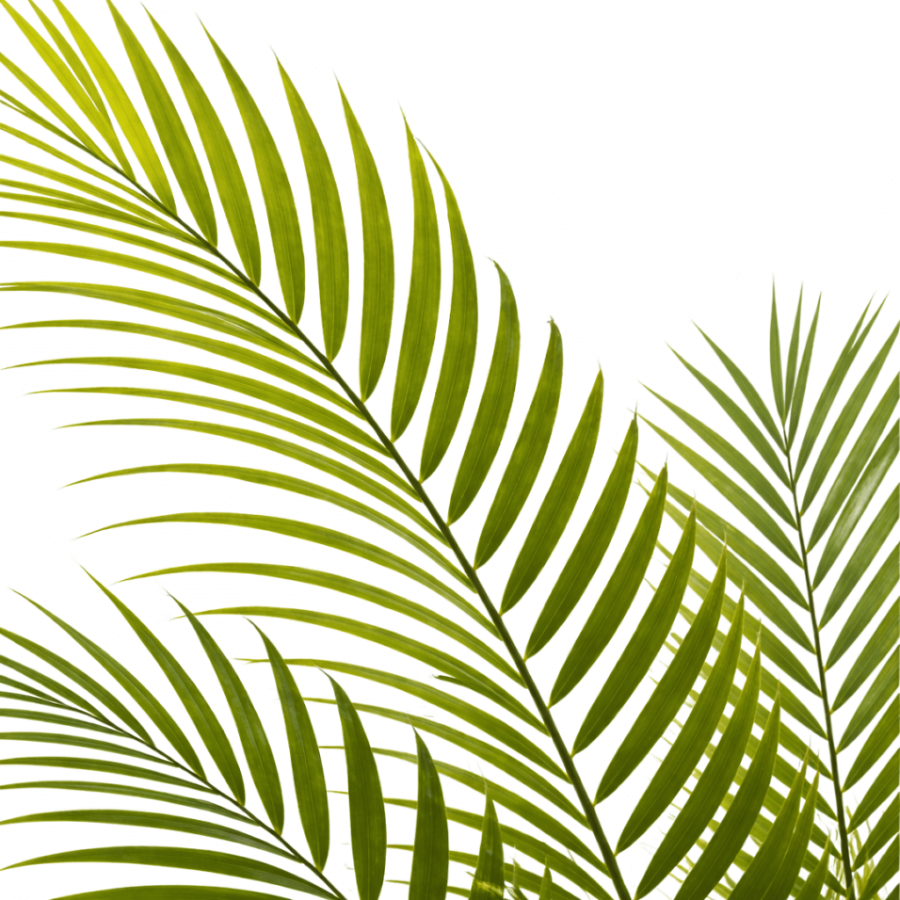 areca-artificial-120-cm-selvavita-7060-ok-detalle-hojas