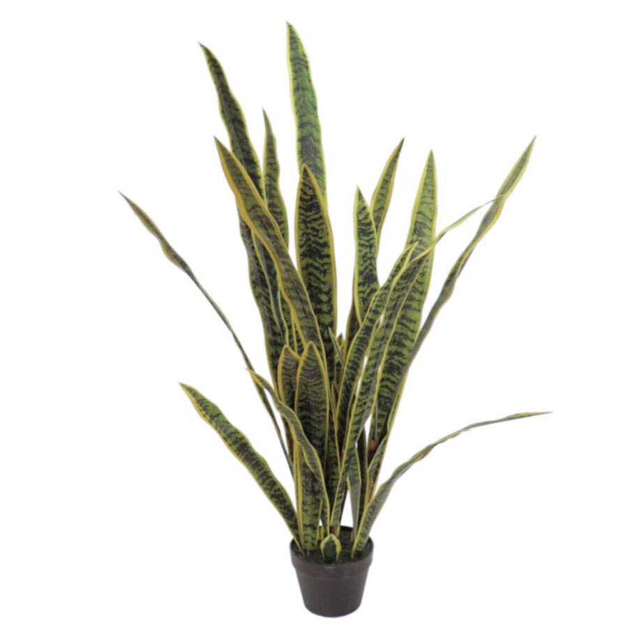 sansiviera-125-cm-selvavita-ambiente-sola