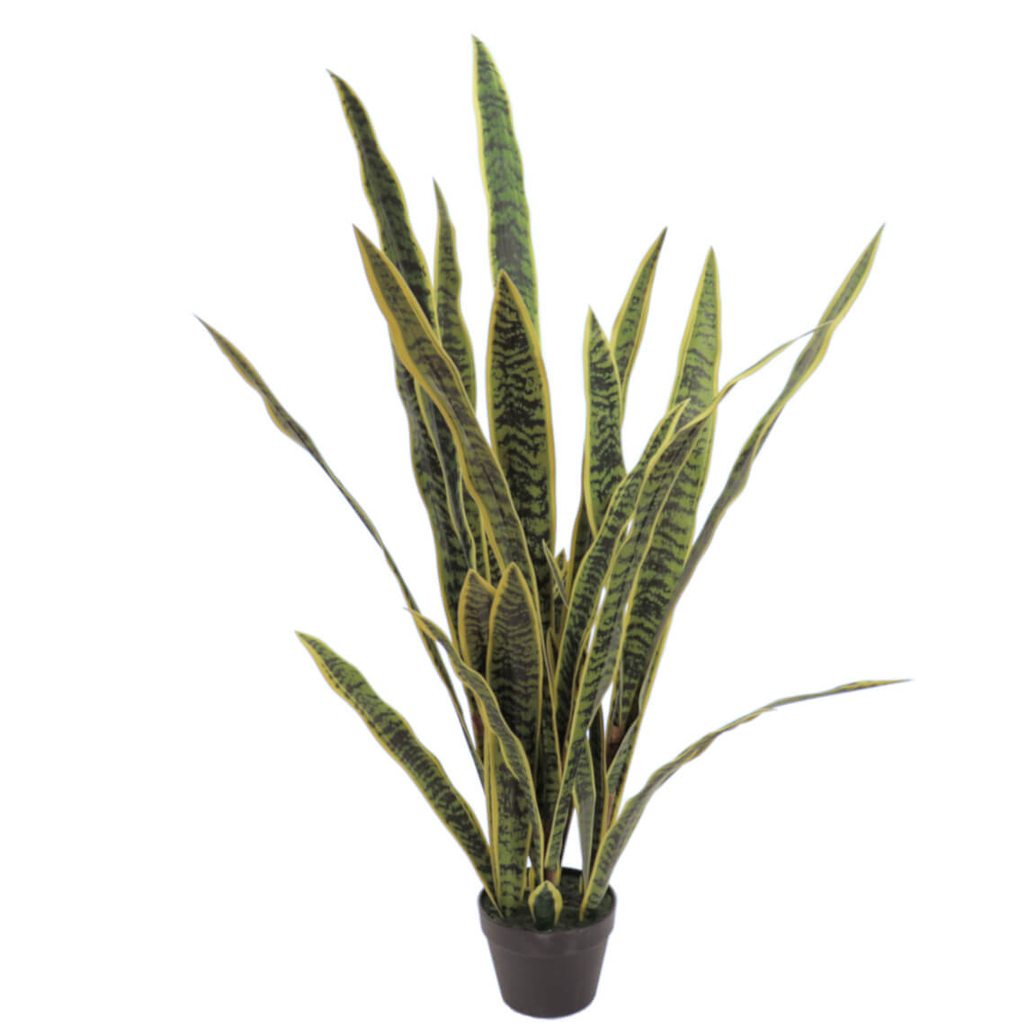 sansiviera-125-cm-selvavita-ambiente-sola