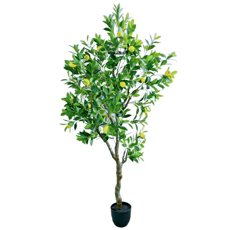 limonero-arbol-frutal-artificial