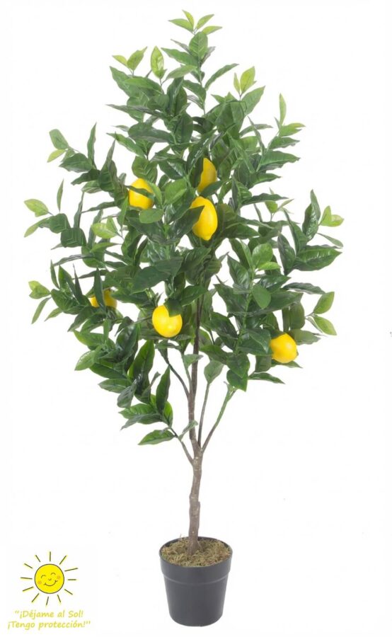 limonero-artificial-para-exterior-selvavita-ambiente-foto