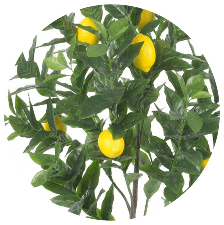 limonero-artificial-para-exterior-selvavita-ambiente-hojas-detalle