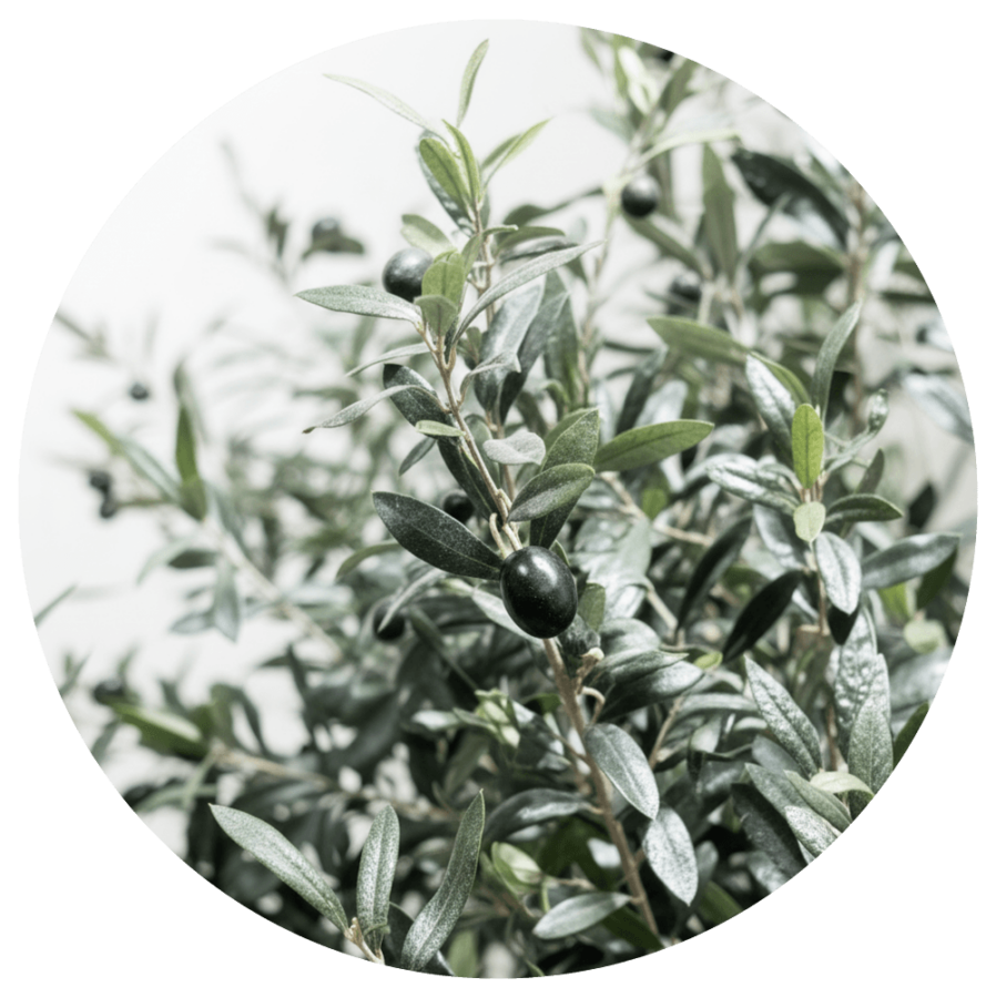 olivo-artificial-exteriores-3-metros-selvavita-ambiente-xl-hojas