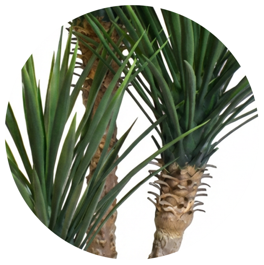 yuca-artificial-exterior-3-tallos-selvavita