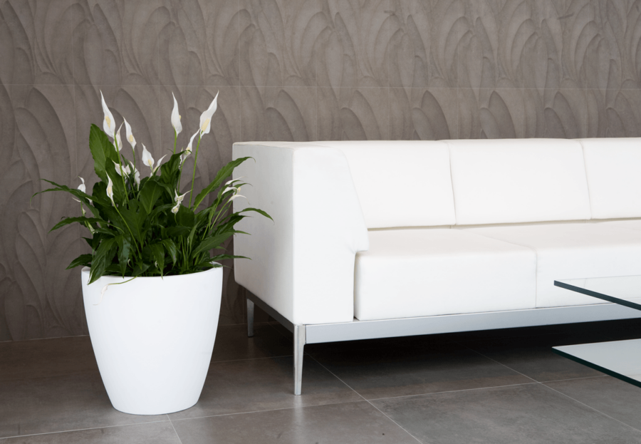 ACCORD BLANCO AMB 4 - copia (2) - copia