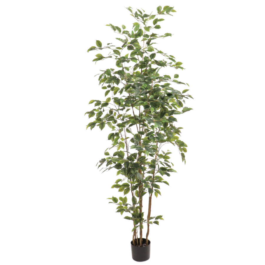 ficus-artifical-bajamin-180-cm-selvavita-foto