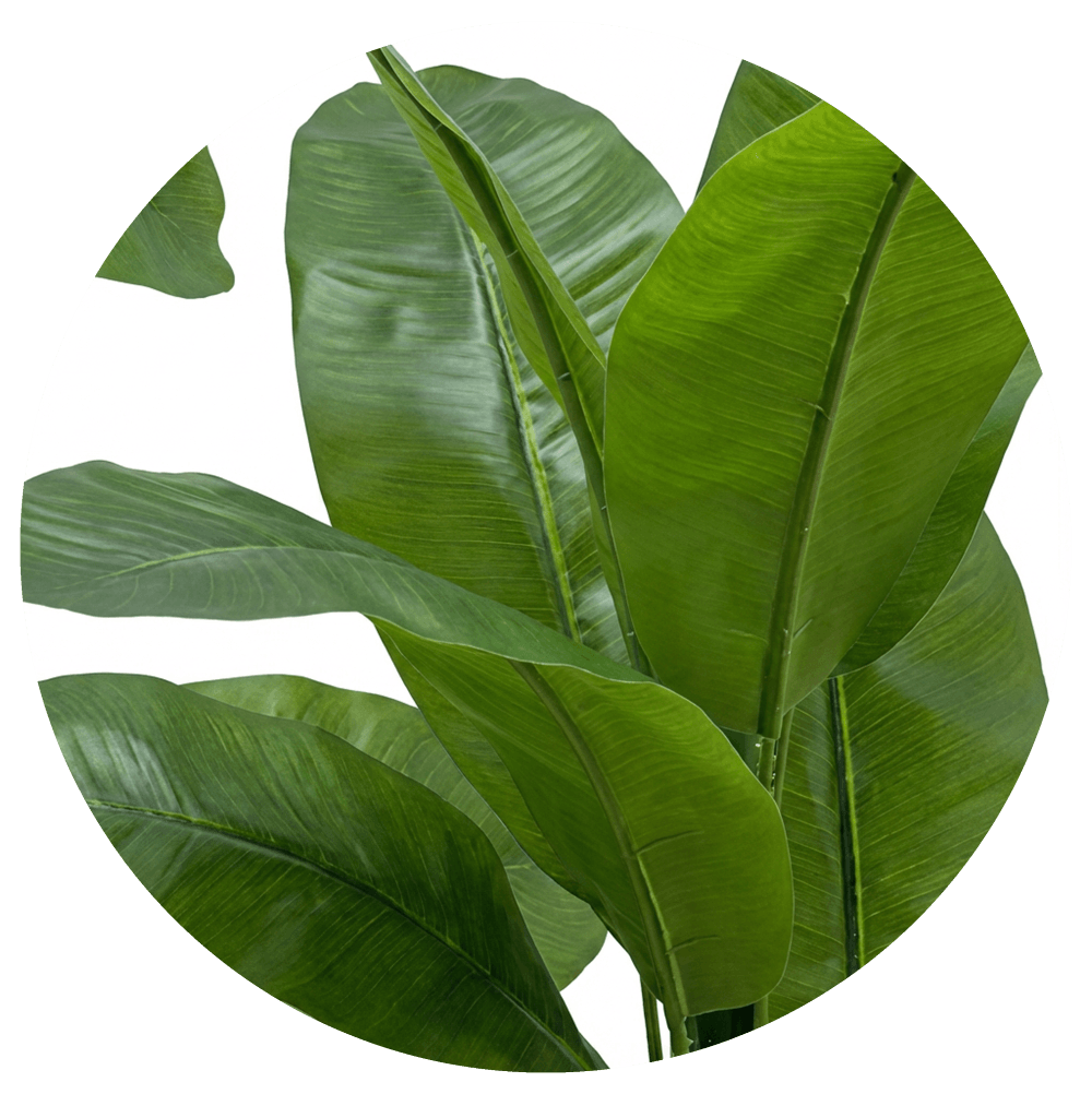 selvavita-platanero-artifical-200-cms-para-exterior-luz-slar-hoja