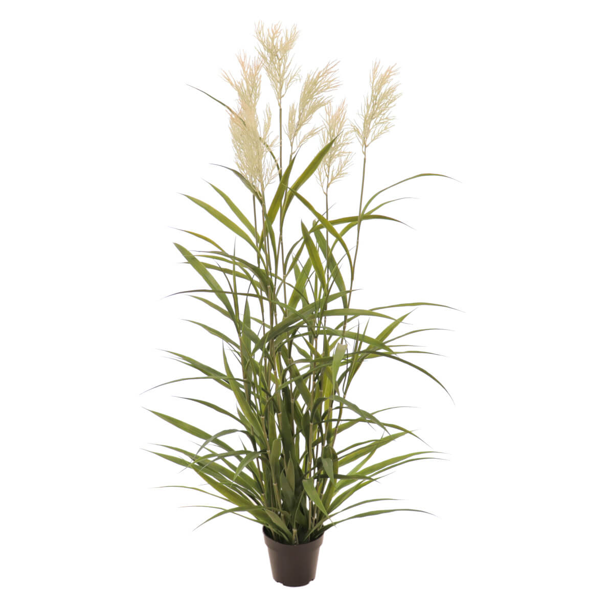 Carex-artificial-130-cm-con-plumeros