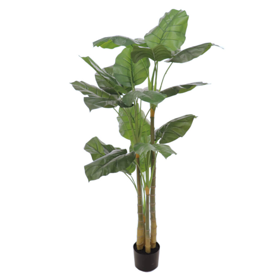Filodendro-artificial-150-cm