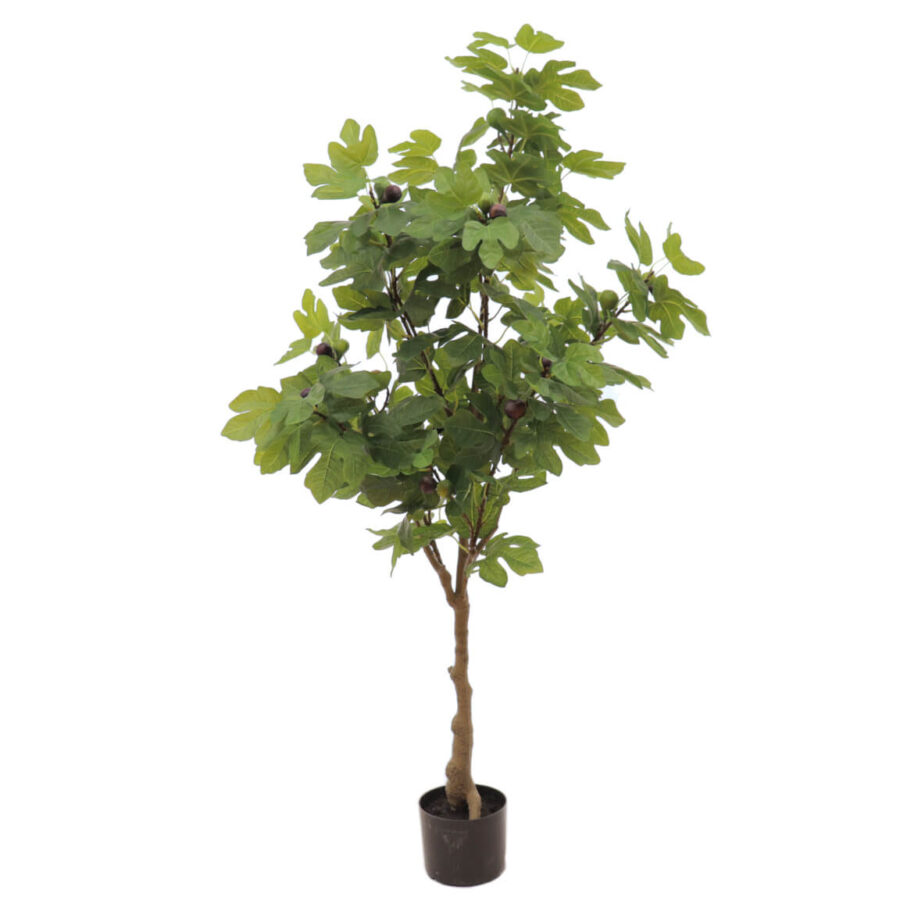 HIGUERA-artificial-150-CM