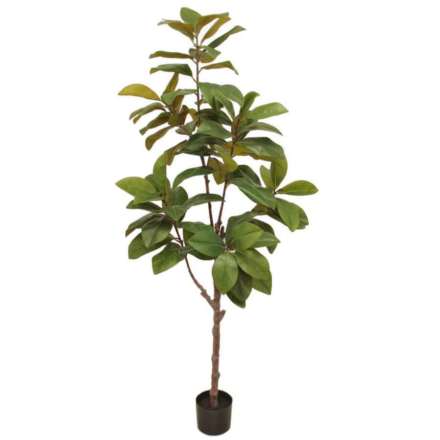 magnolio-artificial-180-cm